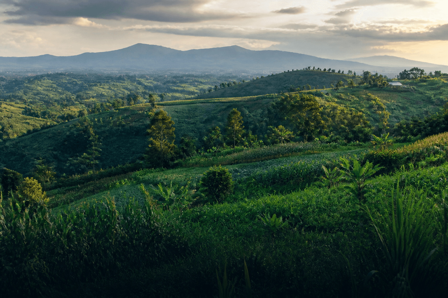 Nebbi regional landscape
